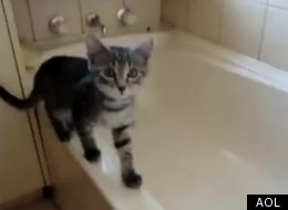 WATCH: Funniest Viral Videos Of The Day