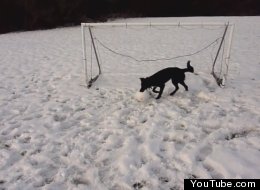 The Funniest Viral Videos Of The Week