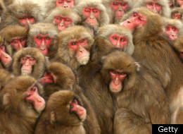 Pictures Of The Day (PICTURES)
