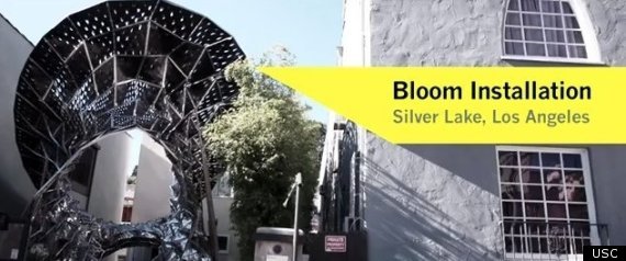 Bloom Silver Lake Boulevard