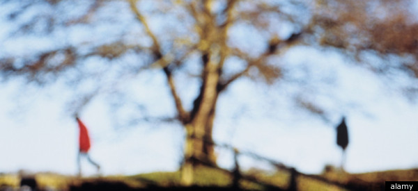 Parents Of Estranged Children Offer Advice | Karl A. Pillemer, Ph.D.