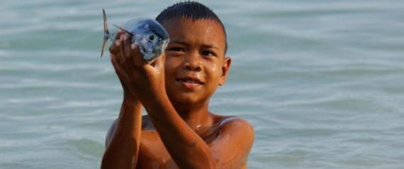 أطفال يبصرون تحت الماء كالدلافين.. ماذا تعرف عن "بدو البحر"؟