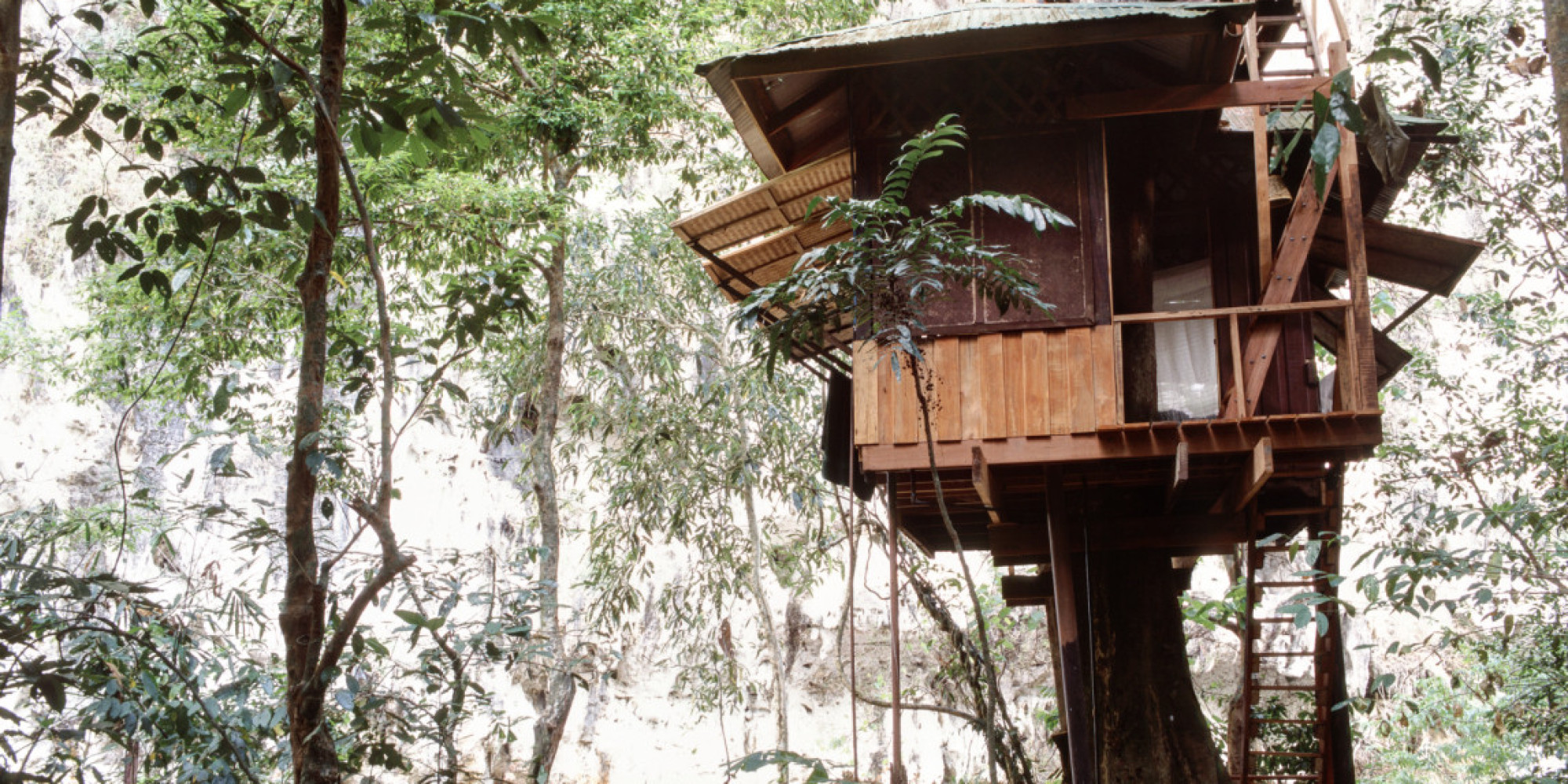 Box Trees HuffPost UK