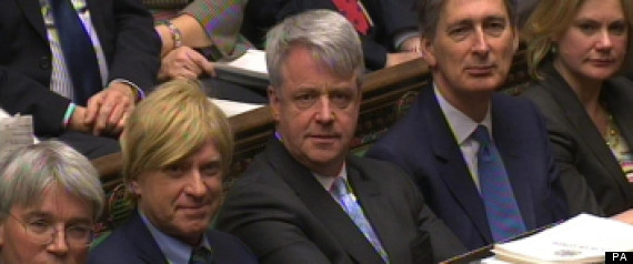 Lansley Cameron Nhs