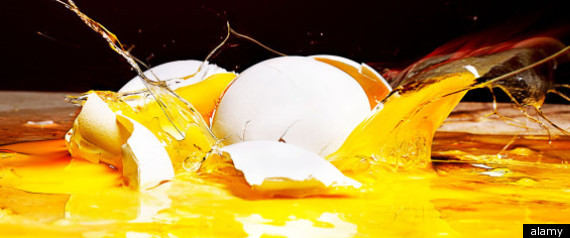 Egg