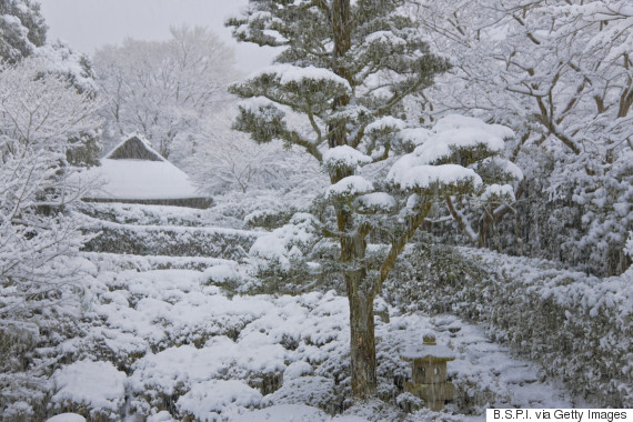 matsuo basho