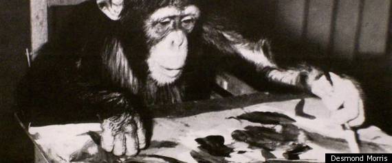 Animal Artist