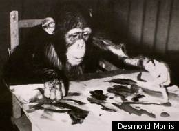 PHOTOS: Are These Animals Artists? 