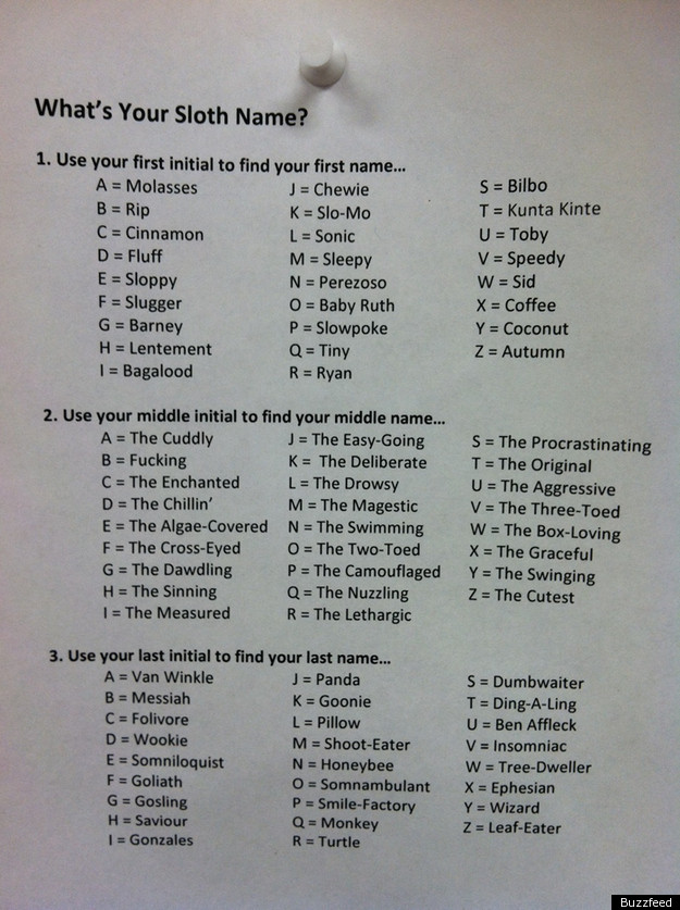 What's Your Sloth Name?: The Definitive Chart (PICTURE)