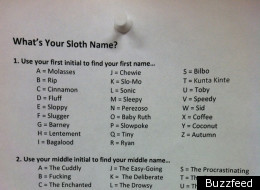 PICTURE: What's Your Sloth Name?