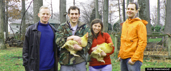 Arlington Egg Project
