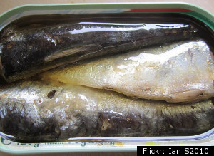 Canned Sardines Kosher