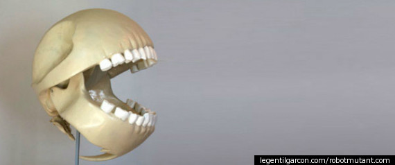 Pacman Skull
