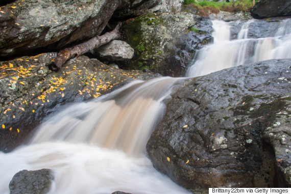 cunningham falls