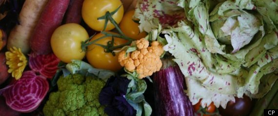 Purple Vegetables