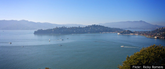 San Francisco Bay Pollution