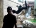 monkeys