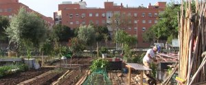 huerto urbano