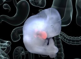 "مخلوق" جديد يُستخدم كقطع غيار للبشر.. فهل تجاوز العلماء حدود الدين؟