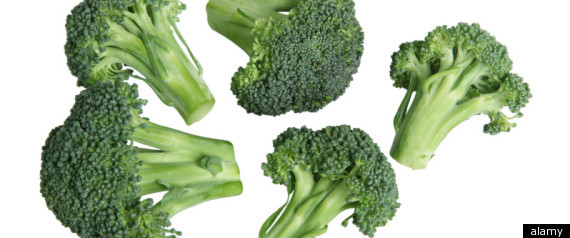 Broccoli