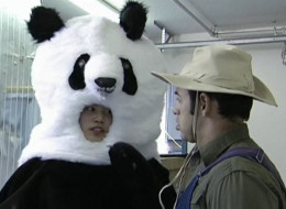 WATCH: 22 Minutes Wonders If Chinese Panda Is Really A Spy