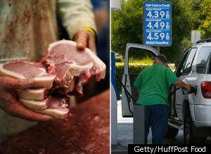 Animal Fat Gasoline