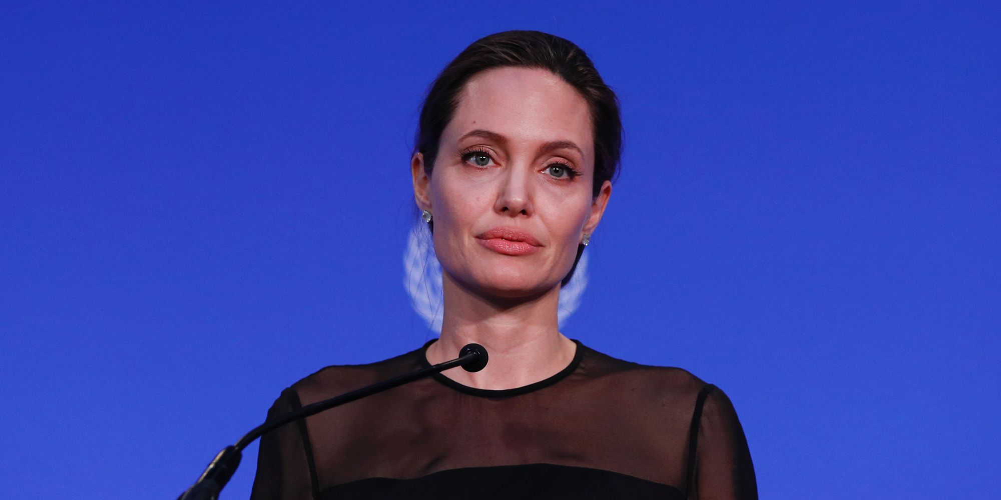 angelina jolie research essay angelina jolie research essay