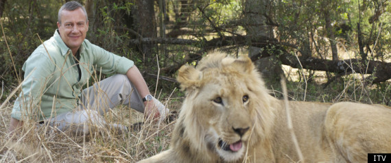 Wild At Heart
