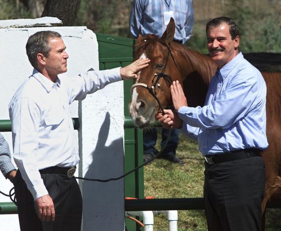 president bush horses