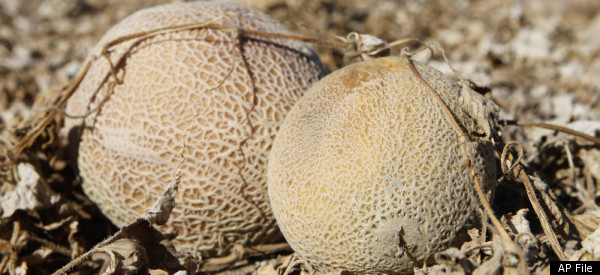Cantaloupe Listeria Outbreak Claims Another Life