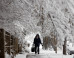 denver-news