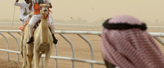 سويسرا من دول العالم الثالث والسعودية تستورد الإبل.. 5 حقائق تبدو خاطئة ولكنها صحيحة