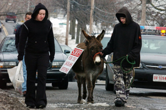 vandals spend a day with a donkey