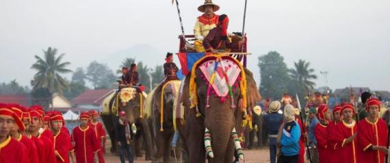 "أرض المليون فيل" تقيم مهرجاناً لحماية أفيالها من الانقراض.. شاهد