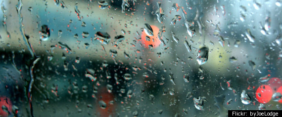 Toronto Snow Storm Failure Rain Forecast