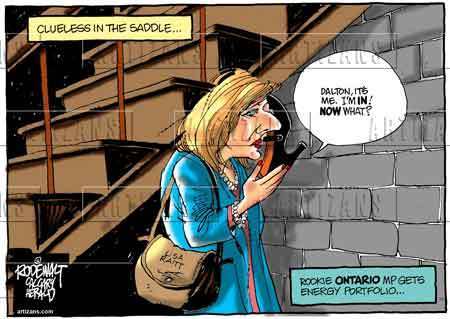 lisa raitt cartoon