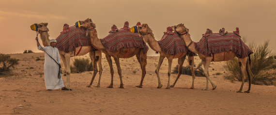 الكشكشة.. العجعجة.. والفحفحة.. ماذا تعرف عن لهجات العرب الفصحى؟