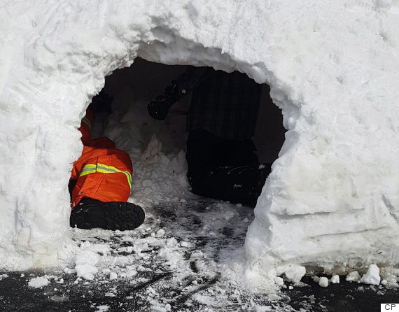 steve bayers snow fort