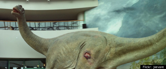 North Carolina Museum Of Natural Sciences