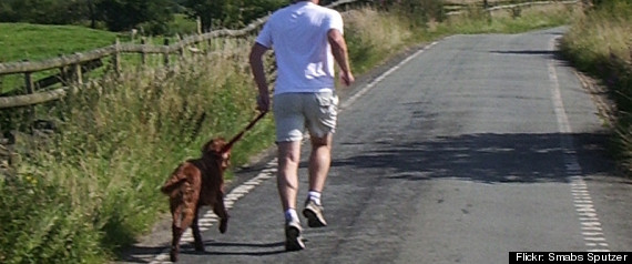Run With Dog