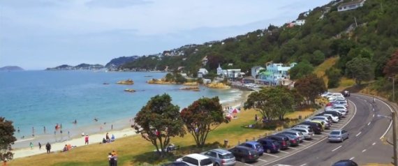 هل ترغب في الاستمتاع بعطلة مجانية؟.. نيوزيلندا ستتكفل بذلك إذا اجتزت هذا الشرط الوحيد