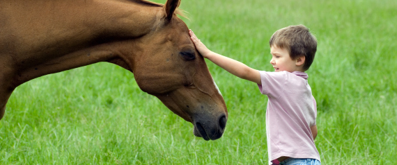 لا تنفقوا أموالاً طائلة على المدارس.. ركوب الخيل يزيد قدرة الطفل على التعلم