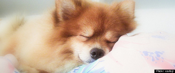 Not To Do Sleep