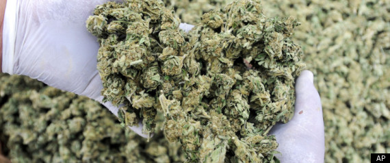Tom Ammiano Medical Marijuana