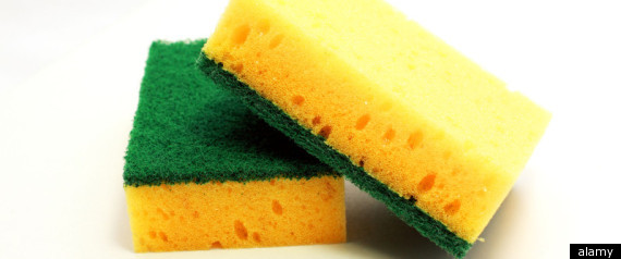 Girl Ate Washing Up Sponges