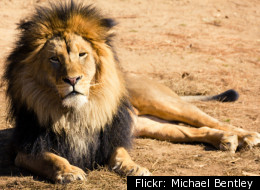To See the Animals: Our Safari to Tanzania, Part 7