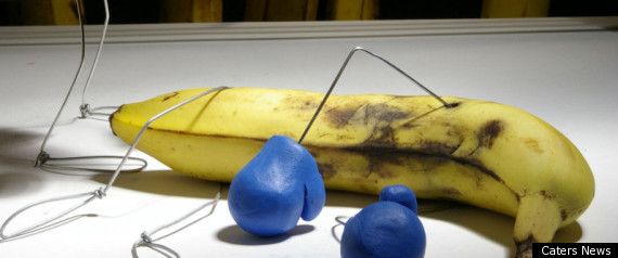 Bent Art Terry Border