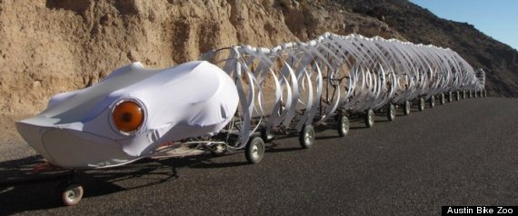 Rattlesnake International Parade Ojinaga