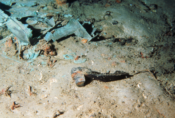 كائنات غامضة تلتهم حطام تيتانيك الفولاذي.. هكذا تتمكن من العيش بالمياه السحيقة O-TITANIC-WRECK-570