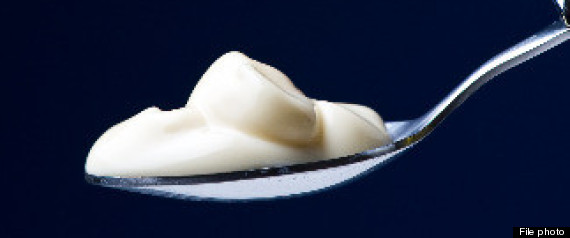 Yogurt